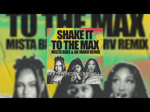 MOLIY Shenseea Skillibeng Silent Addy Shake It To The Max Fly Remix EXTENDED TYLER WILL