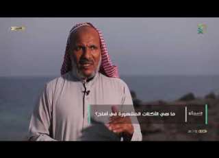  كيف استطاع أهل أملج التأقلم بين البر والبحر وهل غلبت حياة البحر على عاداتهم الاجتماعية كأهل بادية