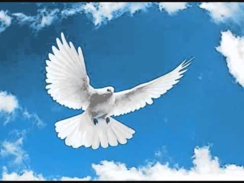 طير ياطير فرقة ابناء الزنتان