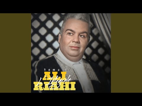 حيرنى الطير