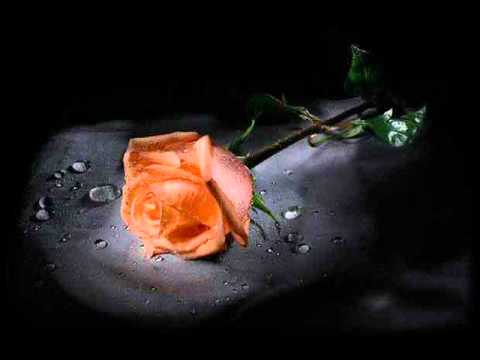 محمد عبده البرواز