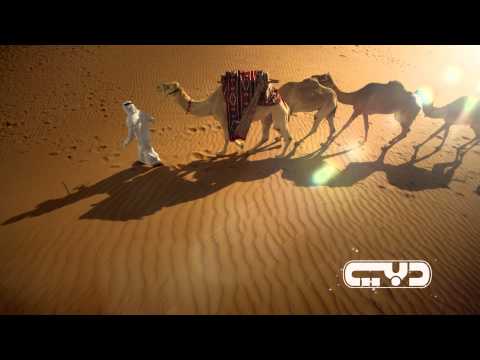 Dubai TV Ident 2013 Metro Short B