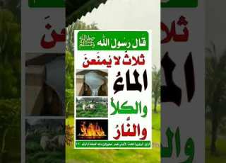  ثلاث لا يمنعن الماء والكلأ والنار