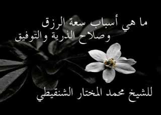 اذا أردت سعة الرزق وصلاح الذرية والتوفيق للشيخ محمد الشنقيطي