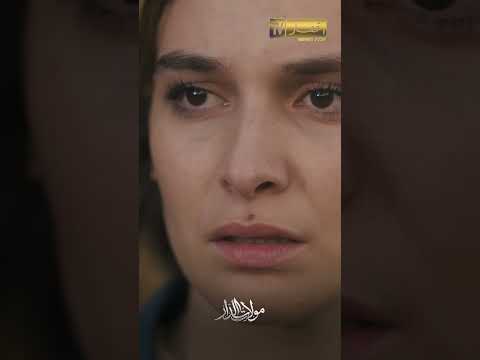 الشرطة تعتقل السي رشيد منال ق تلت ولم تنتحر رمضان2026 الشرطة تعتقل السي رشيد منال ق تلت ولم تنتحر رمضان2026