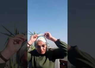  فى بطن الحوت ٢