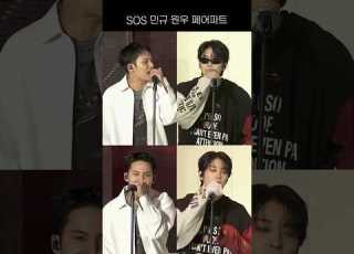 세븐틴 원우 민규 SOS 댕냥 페어파트 Seventeen Wonwoo Mingyu
