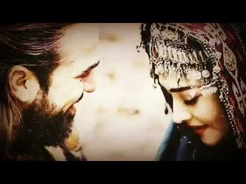 لكن وين ارحل الكاك