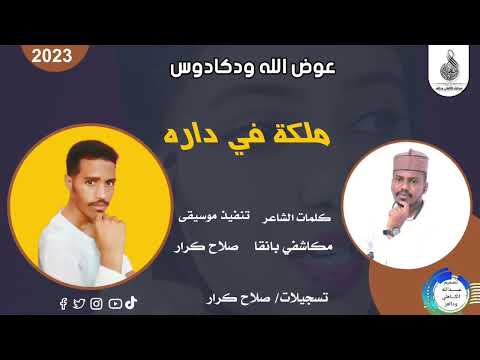 عوض الله ودكادوس ملكة في داره ماتنسواء الاشتراك في القناة 2023