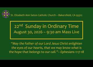  Twentieth Second Sunday In Ordinary Time August 30 2026