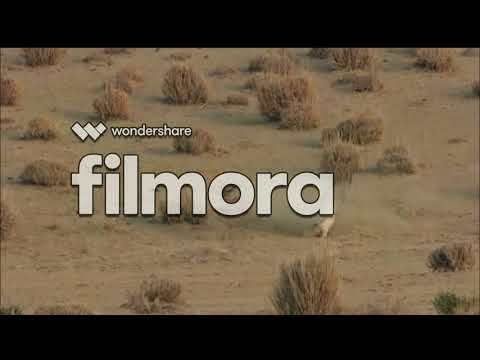 سهيل بان وقربت نقلت الطير كلمات حمد القاشوطي اداء عبدالرحمن ال نجم