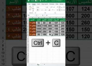 تحويل جدول Excel إلى صورة ربط صورة بجدول في Excel