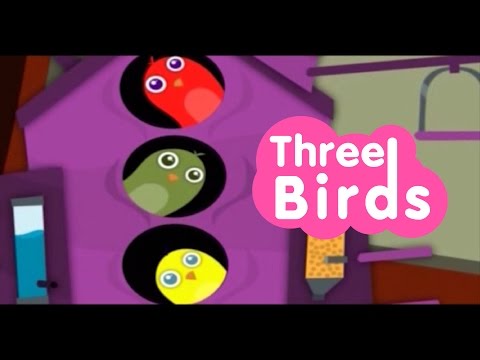 Three Birds Toyor Baby English