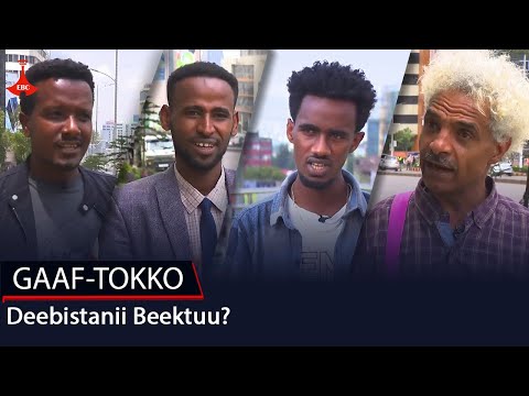 GAAF TOKKO Deebistanii Beektuu