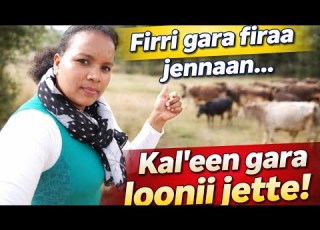  Firri Gara Firaa Jennaan Kal Een Gara Loonii Jette