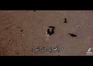  شبل من هذا الذي يبرز في صف القتال