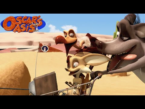 Popy Harchi And Buck Try To Watch The Soccer Game Oscar S Oasis Kids Cartoons