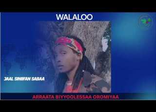  Qophii Walaloo ONM ABO Hagayya 3 2026 Itti Dhiyaadhaa
