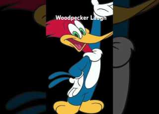 Woody Woodpecker Laugh