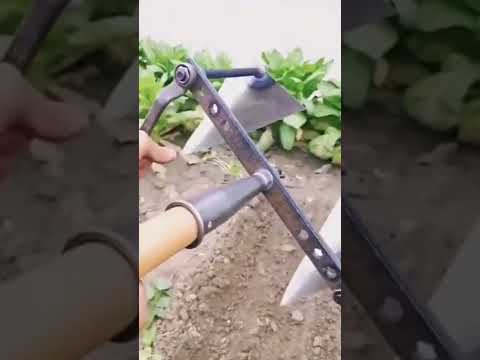 عصفورين بحجر الزراعة الزراعة المنزلية