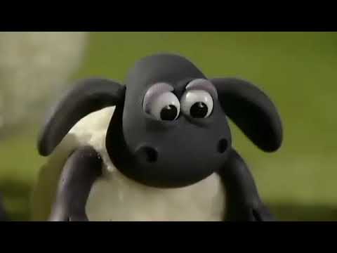 Shaun The Sheep Season 1 Episode 4 Timmy In A Tizzy Insignificante 0 Jackielastravo Cbbc