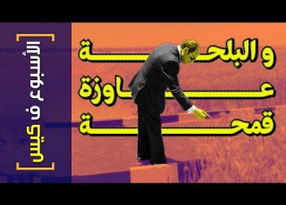 الأسبوع ف كيس 344 و البلحة عاوزة قمحة