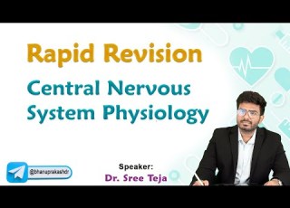 Central Nervous System Physiology Rapid Revision