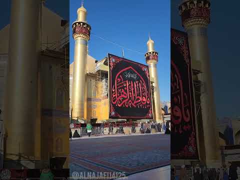 شوفت ضريحك يا حيدر