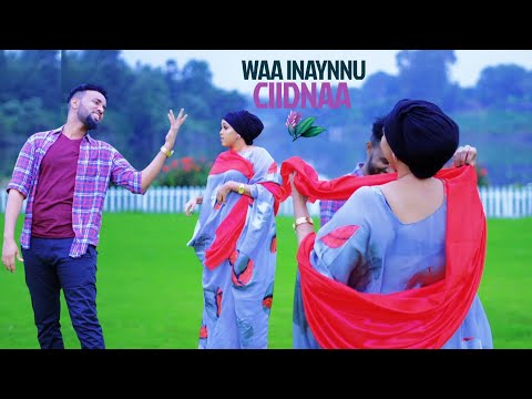 MOHAMED KADHEERI IYO AYAAN WADANI ADIGAA I CAJABIYAY OFFICIAL MUSIC VIDEO