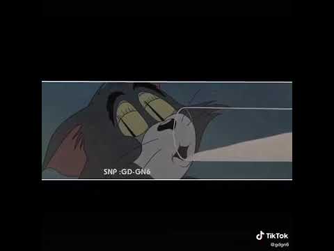 دنياي والله يافهد توم جيري اشتركو بلقناه دنياي والله يافهد توم جيري اشتركو بلقناه