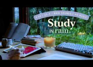  1 5 HOUR STUDY WITH ME On A Rainy Day Pomodoro 25 5 Rain Sounds No Music Forest View