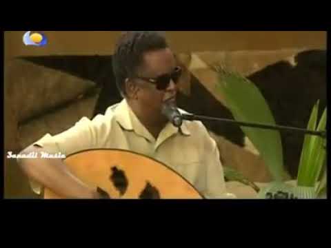 نعيم الدنيا عاطف عبدالحي