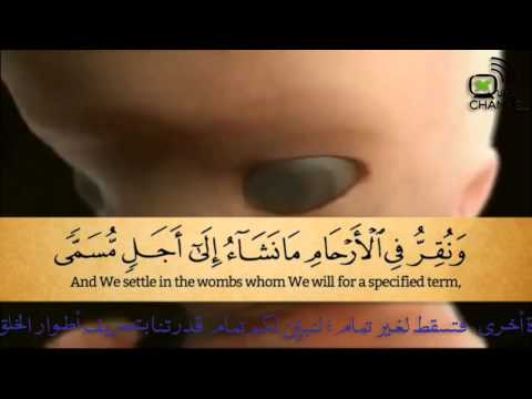 سورة الحج الآية ٥ مع التفسير Surat Alhj Verse 5