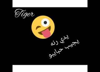  مملكة الحظ