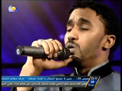 أحمد الصادق قامتك نخيل