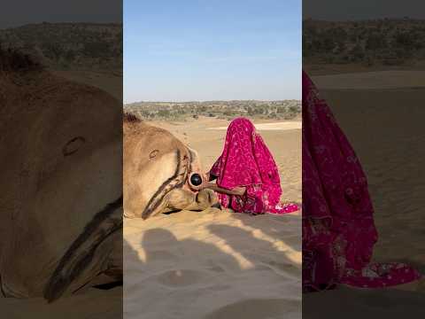 ف ي ٱل ص ح ر اء ل ي س ت ٱل ح م اي ة ل ص ح ة ٱل ح ي و ان ف ق ط ب ل ه ي أ ي ض ا م ه م ة