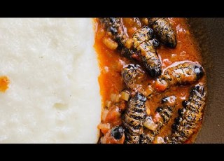  Let S Cook Mashonzha Mopaniwarms South Africa Youtuber