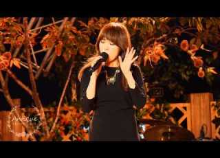 이수영 여전히 입술을 깨물죠 140921 광화문 콘서트 직캠