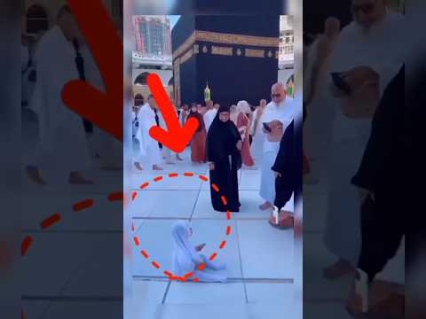 پشتو نعت شریف Batullhasharif New Shorts پشتو نعت شریف Batullhasharif New Shorts