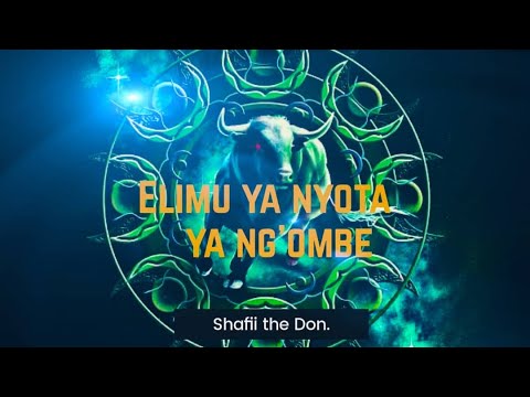 KAMA UNA NYOTA YA NG OMBE TAZAMA TAARIFA ZAKO ZOTE HAPA