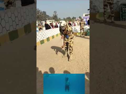 تحيا مصر الصاعقة المصرية تحيا مصر الجيش المصري مصر السعودية الصاعقة المصرية اكسبلور Explore