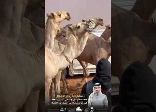 مشاركة رجل الأعمال محمد بن جمي ال بريك الدوسري في النسخة العاشرة من مهرجان الملك عبدالعزيز للإبل