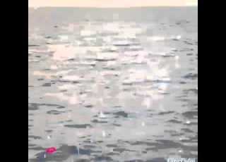 نشيد لبيه يايمه