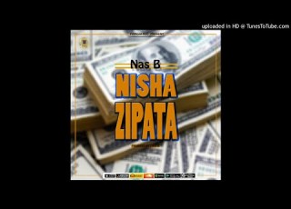 Nas B Nishazipata Official Audio Video