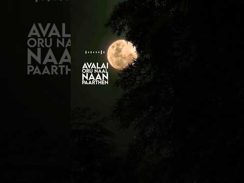 AVALAI ORU NAAL NAAN PAARTHEN Whatsapp Status Tamil AVALAI ORU NAAL NAAN PAARTHEN Love Shorts