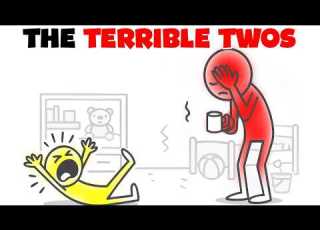  Surviving The TERRIBLE TWOS Without Losing Your Mind