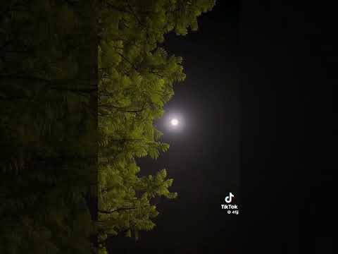 نبني احلام العمر بعد شقى نادر الشراري اكسبلور تصميمي شيلات حزة قصيد