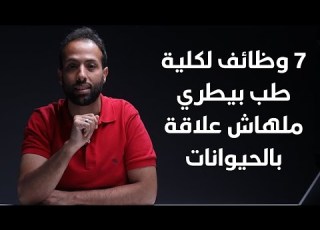  7 وظائف لكلية طب بيطري ملهاش علاقة بالحيوانات