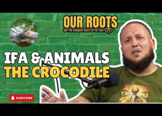  Ifa Animals The Crocodile Joseph Baba Ifa Our Roots Podcast