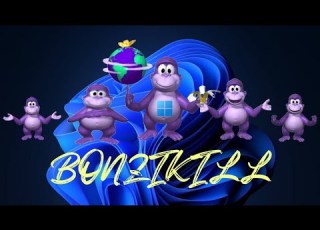  BonziKill In Windows 11